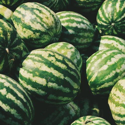 吃瓜日常吃瓜,揭秘吃瓜日常的趣味与智慧