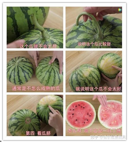 好看吃瓜的视频,好看吃瓜视频带你尝鲜