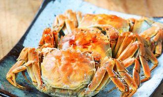 螃蟹与方瓜能不能一起吃,探究能否共食的饮食奥秘