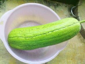 水瓜适合孕妇吃,水瓜的营养与食用指南