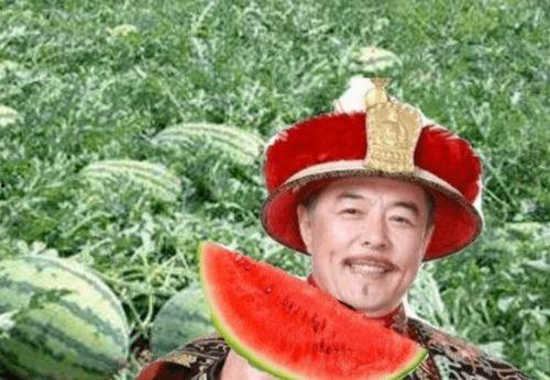 荆隆宫吃瓜,一场宫廷吃瓜大戏背后的权力角逐