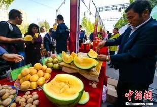 忻州最新吃瓜新闻视频,揭秘神秘事件背后的真相！