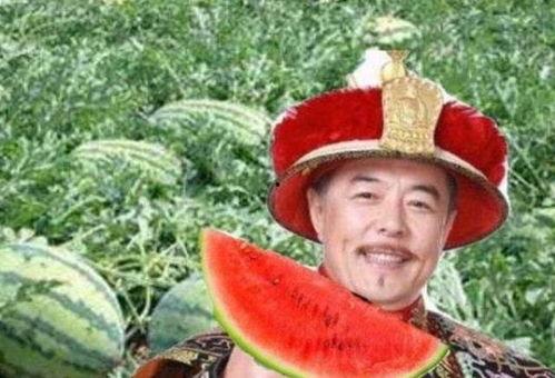乾隆吃瓜杀瓜农6,乾隆帝吃瓜误杀瓜农的悲剧往事