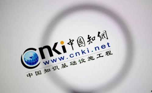 中国知网吃瓜,网络舆论场中的娱乐与反思