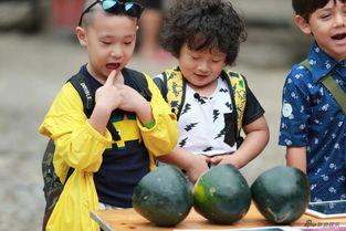 吃瓜娃看热闹,揭秘娱乐圈幕后故事