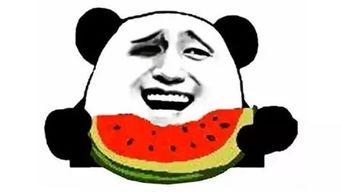 面试是吃瓜,揭秘职场“吃瓜”背后的真实故事