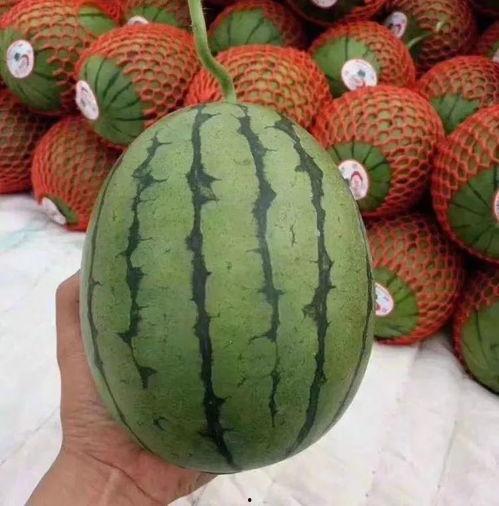 吃瓜不困,揭秘娱乐圈幕后故事